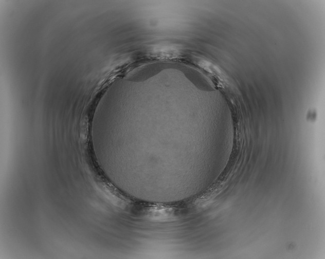 X0000090910760200708131412