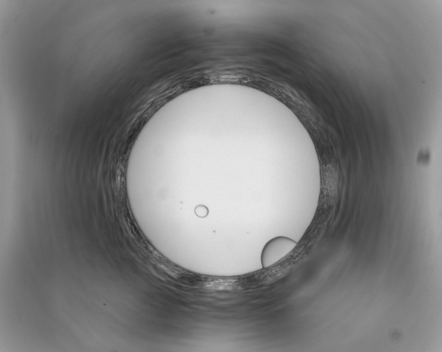 X0000090910761200708131412