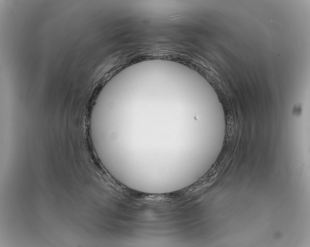 X0000090910762200708131412