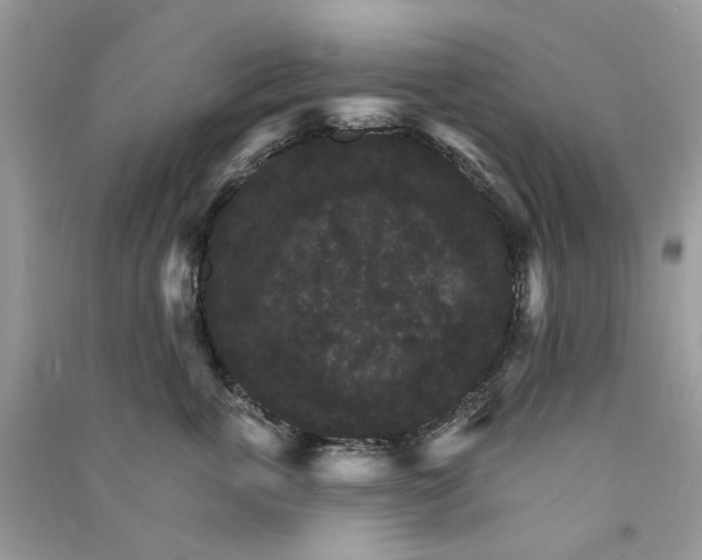 X0000090910763200708131412