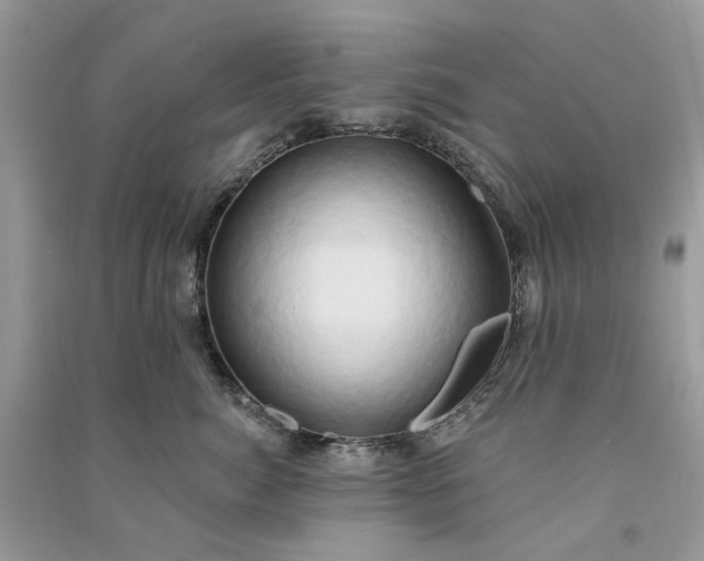 X0000090910764200708131412