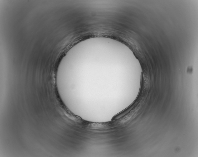 X0000090910766200708131412