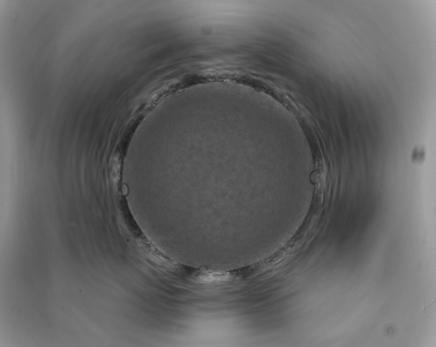 X0000090910767200708131412