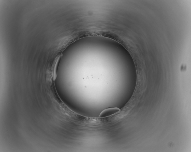 X0000090910768200708131412