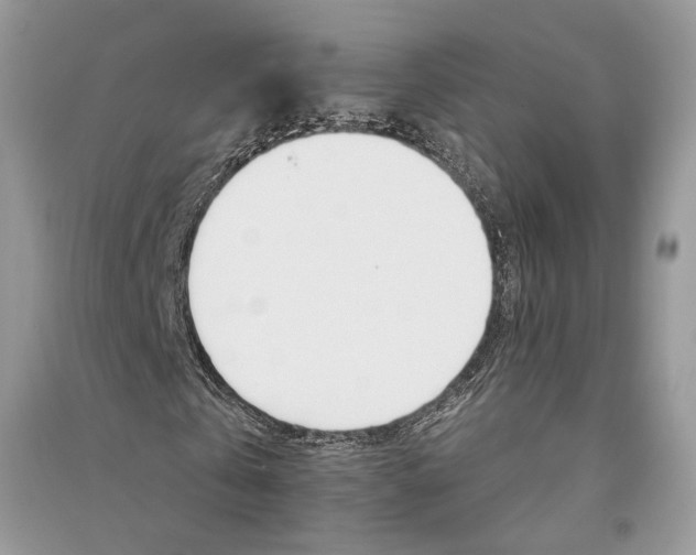 X0000090910769200708131412