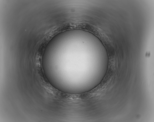 X0000090910770200708131412