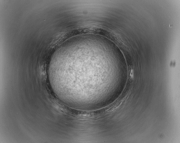 X0000090910771200708131412