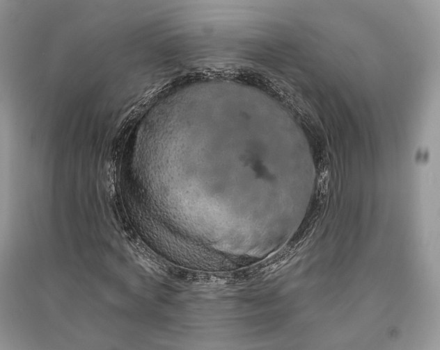 X0000090910772200708131412