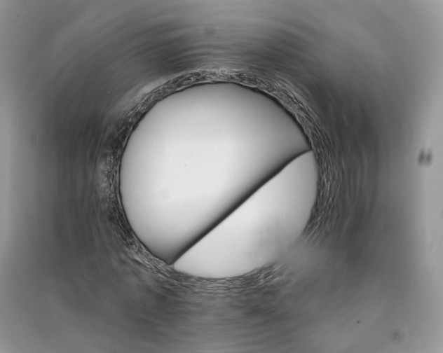 X0000090910773200708131412