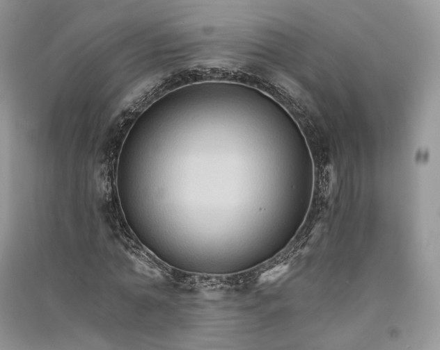 X0000090910774200708131412