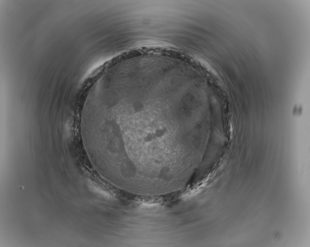 X0000090910775200708131412