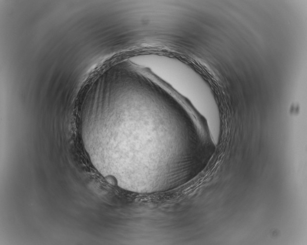 X0000090910776200708131412