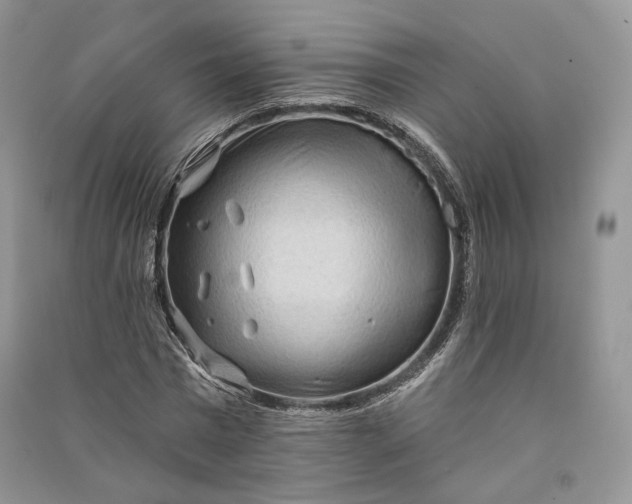 X0000090910777200708131412