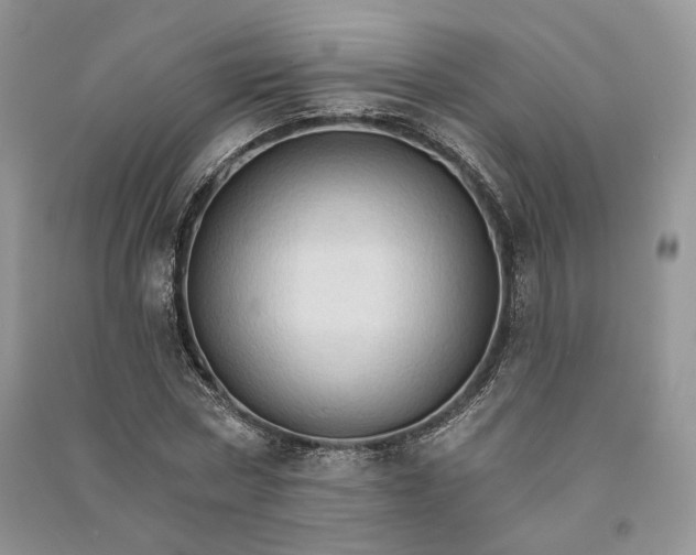 X0000090910778200708131412