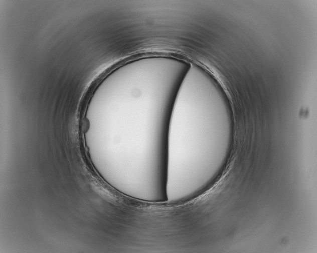 X0000090910779200708131412