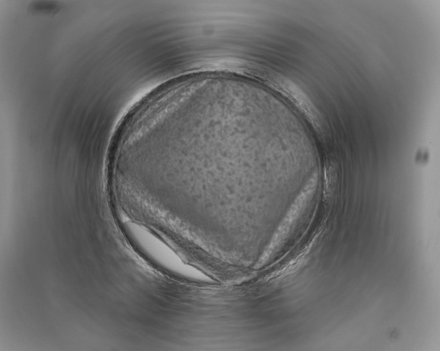 X0000090910780200708131412