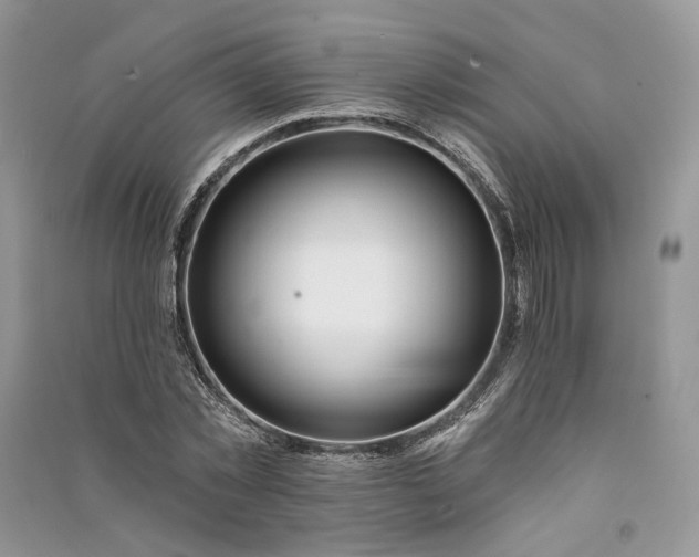 X0000090910781200708131412