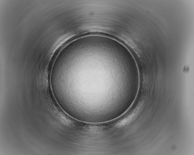 X0000090910782200708131412