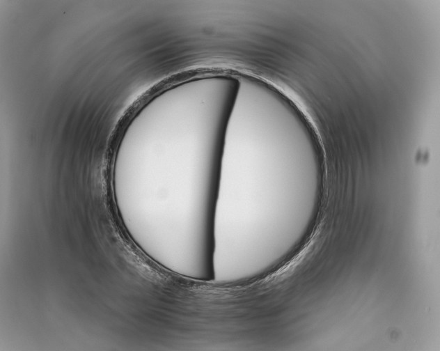 X0000090910783200708131412