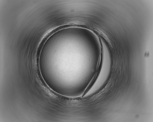 X0000090910784200708131411