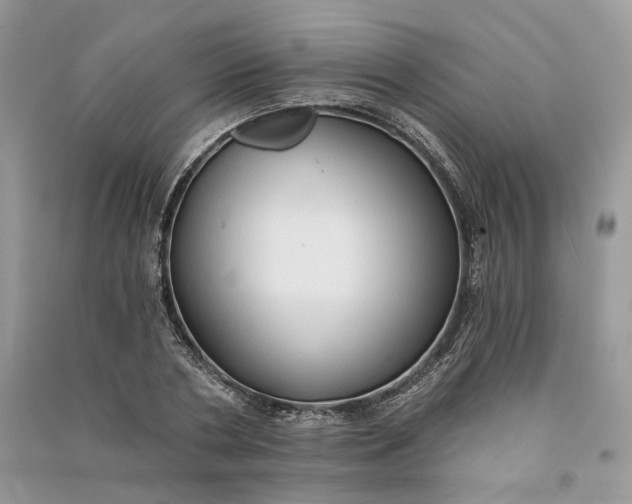 X0000090910786200708131411