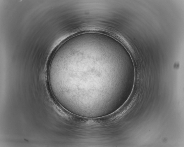 X0000090910787200708131411