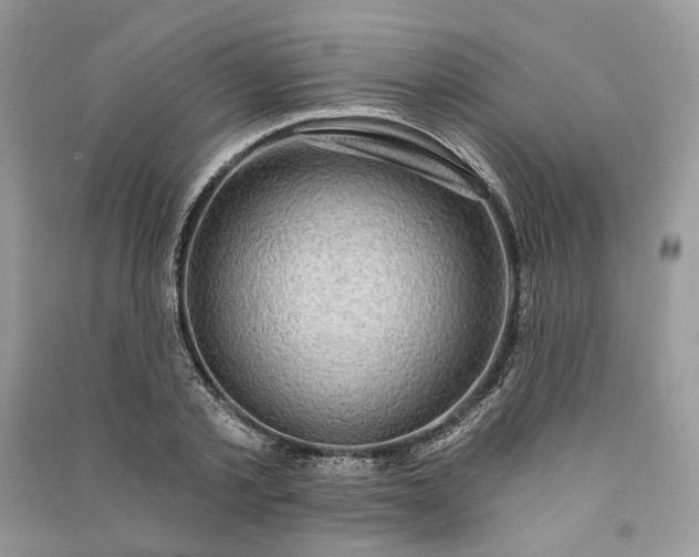 X0000090910789200708131411