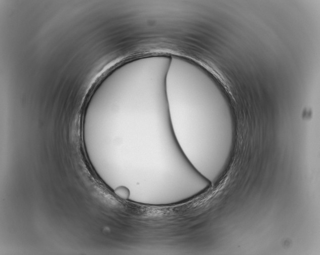 X0000090910790200708131411