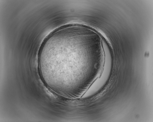 X0000090910791200708131411