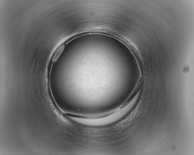 X0000090910792200708131411