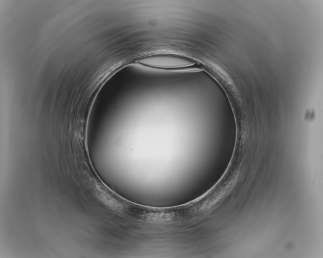 X0000090910793200708131411