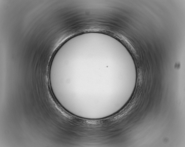 X0000090910794200708131411