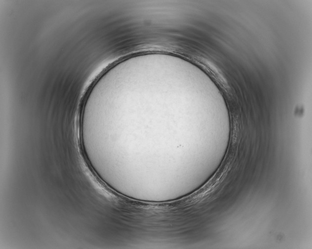 X0000090910796200708131411