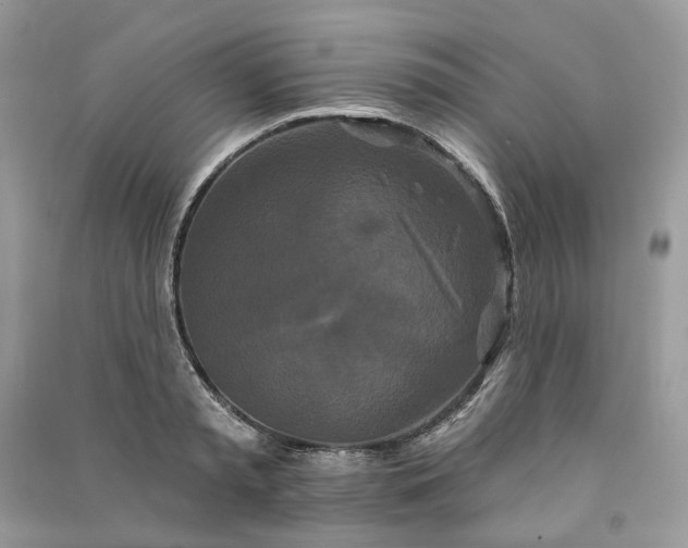 X0000090910797200708131411