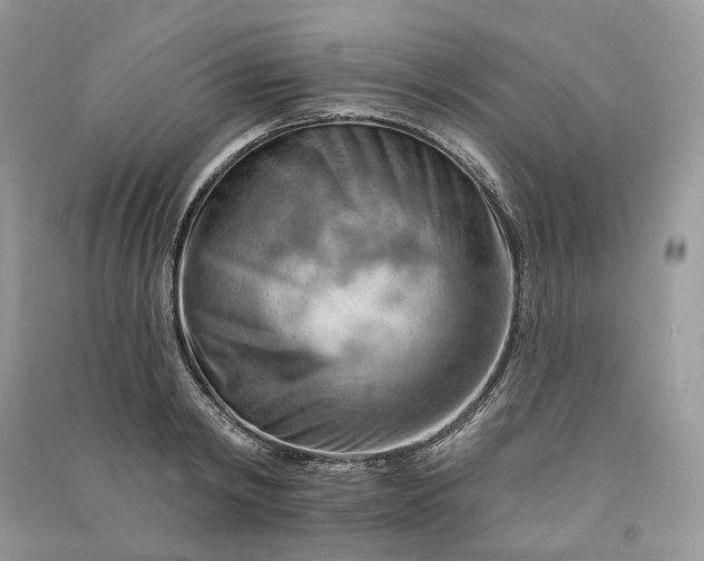 X0000090910798200708131411