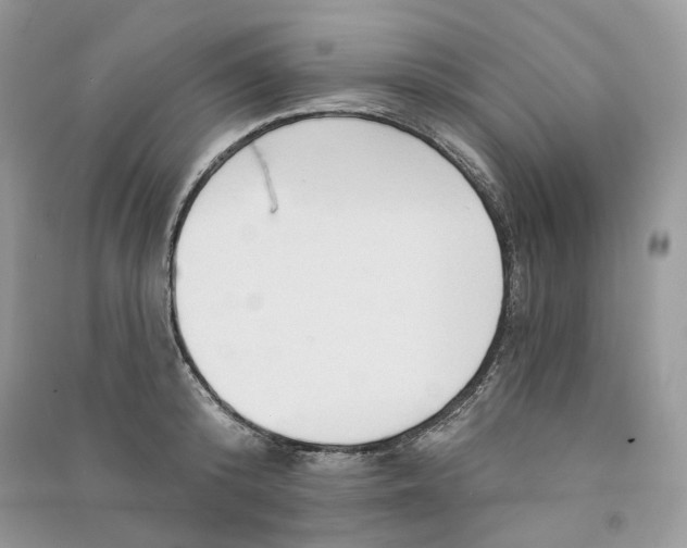 X0000090910800200708131411