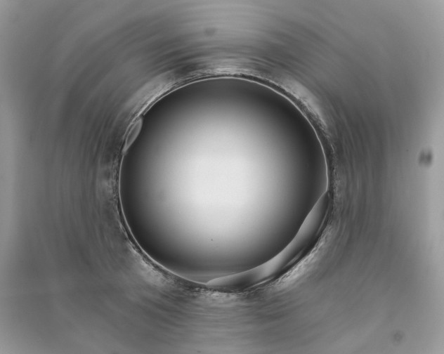 X0000090910801200708131411