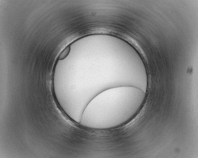 X0000090910802200708131411