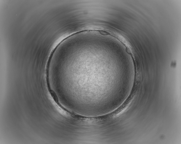 X0000090910803200708131411