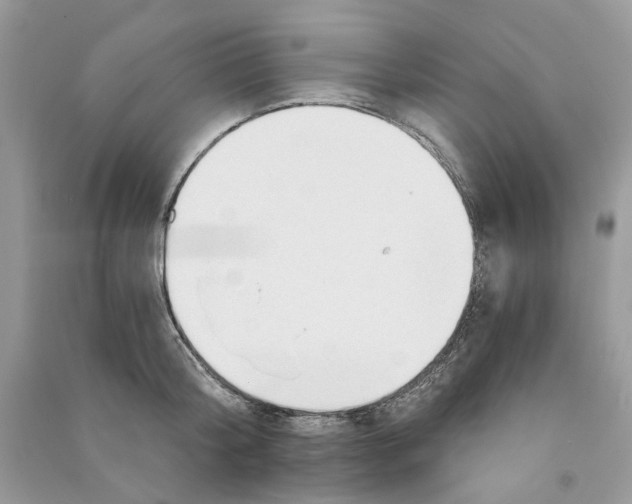 X0000090910804200708131411