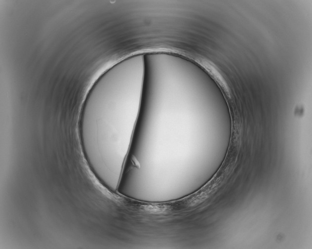 X0000090910805200708131411