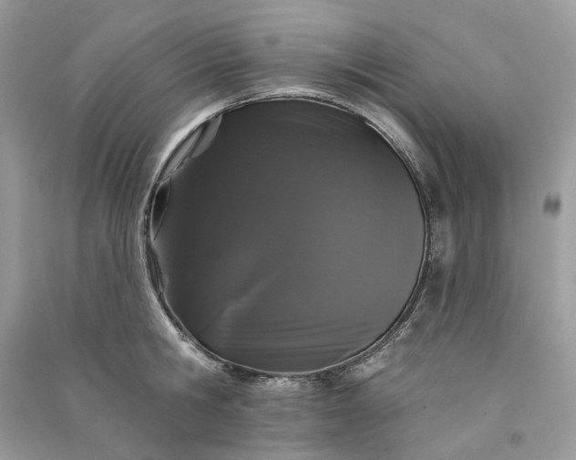 X0000090910806200708131411