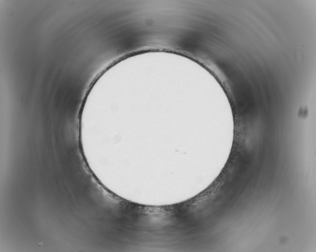 X0000090910807200708131411