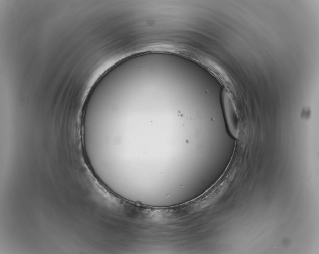 X0000090910808200708131411