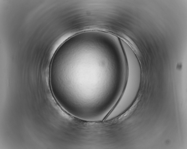 X0000090910812200708131411