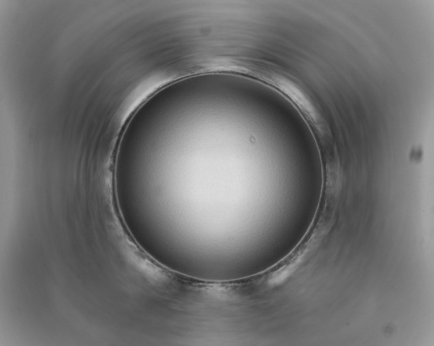 X0000090910814200708131411