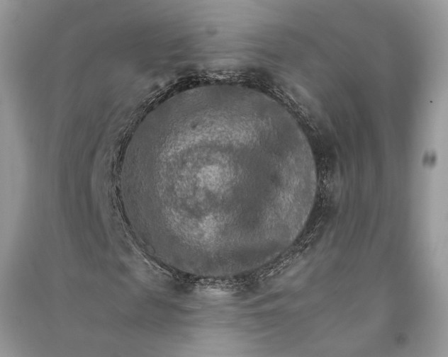 X0000090910817200708131411