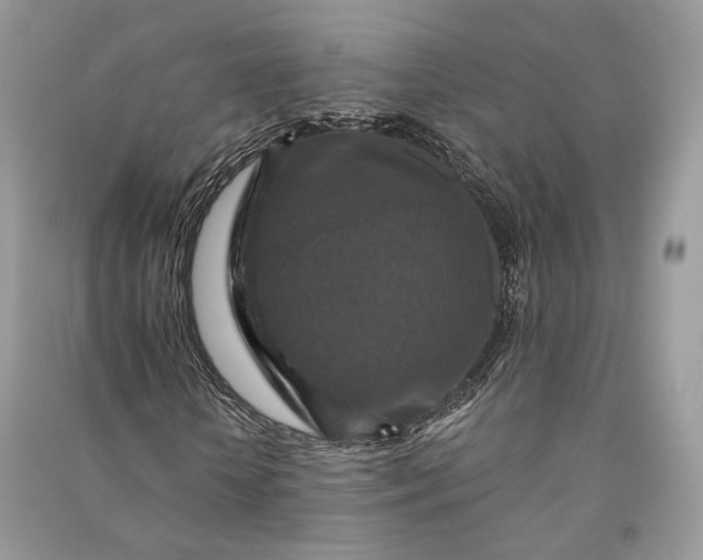 X0000090910818200708131411