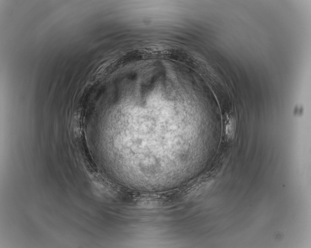 X0000090910819200708131411