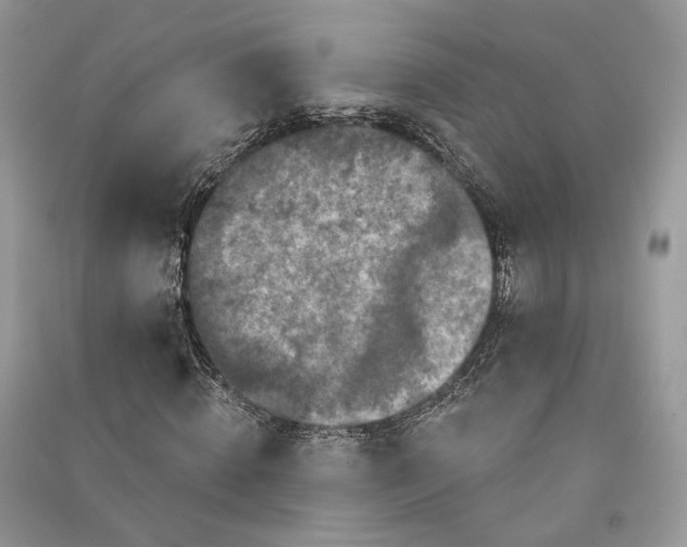 X0000090910820200708131411